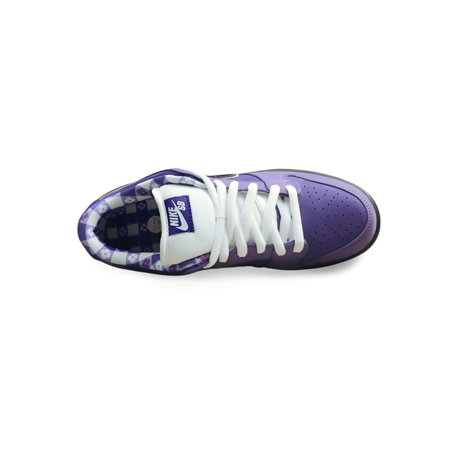 Concepts X SB Dunk Low Purple Lobster