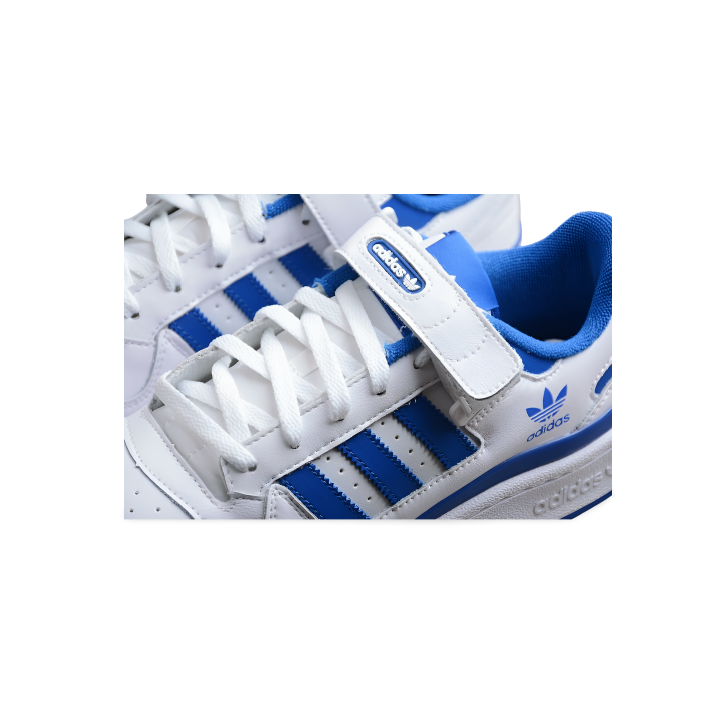 Adidas Forum Low Royal Blue