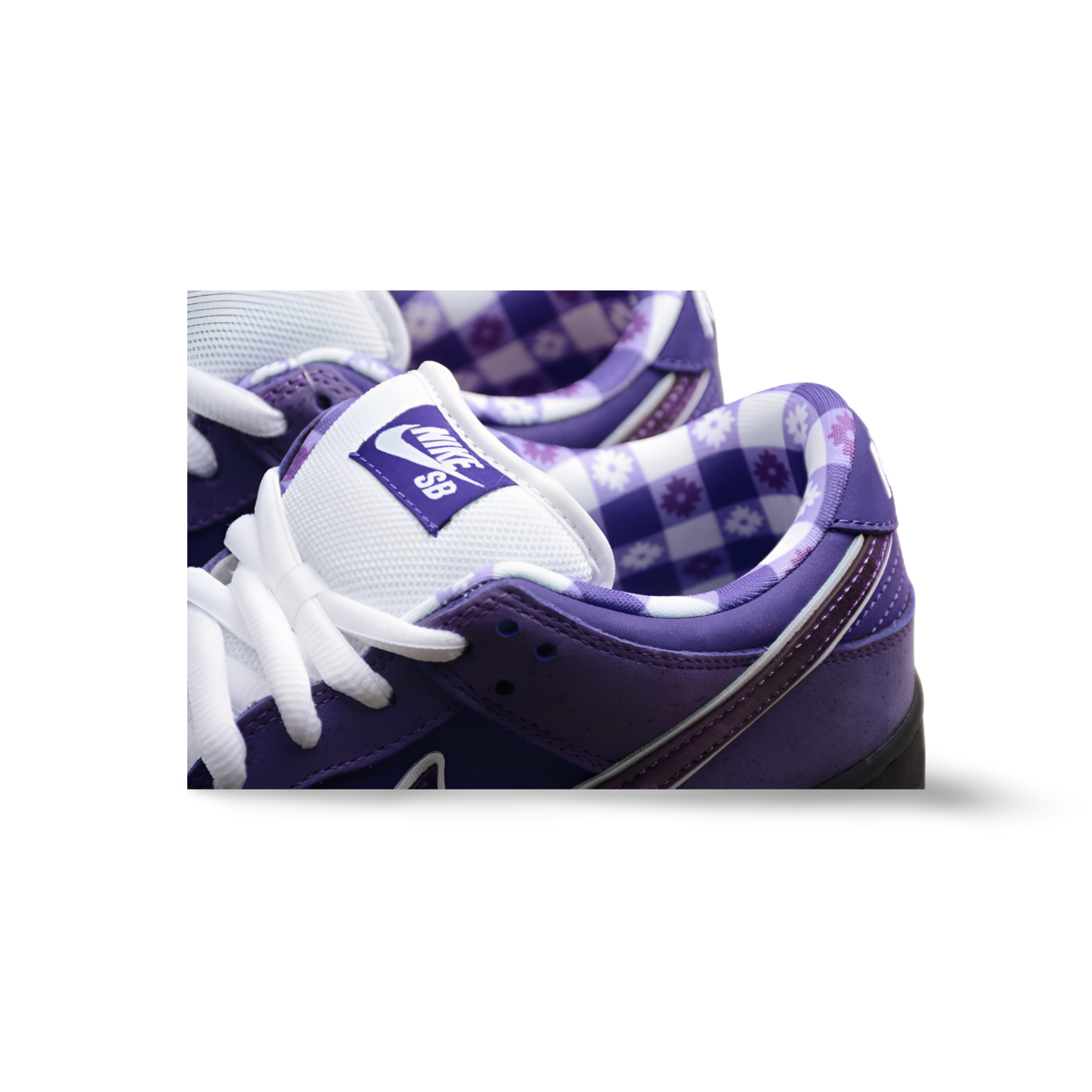 Concepts X SB Dunk Low Purple Lobster