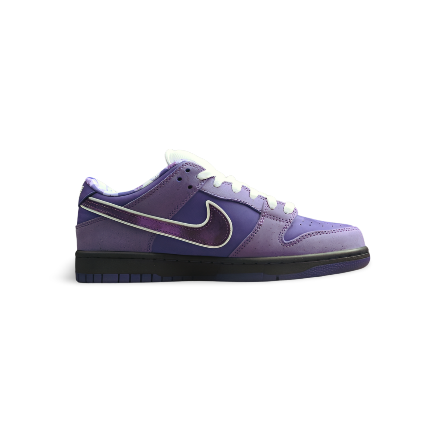 Concepts X SB Dunk Low Purple Lobster