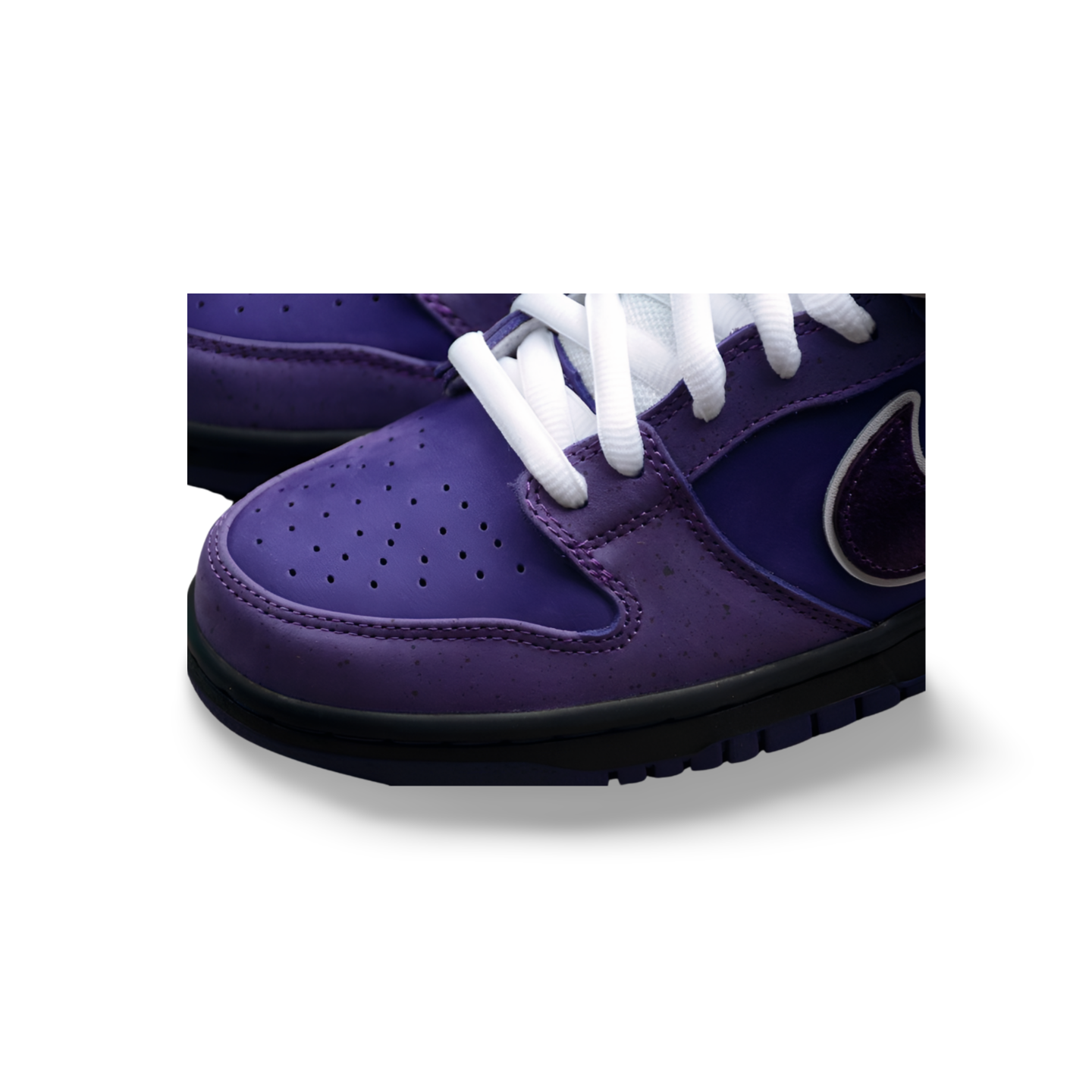 Concepts X SB Dunk Low Purple Lobster